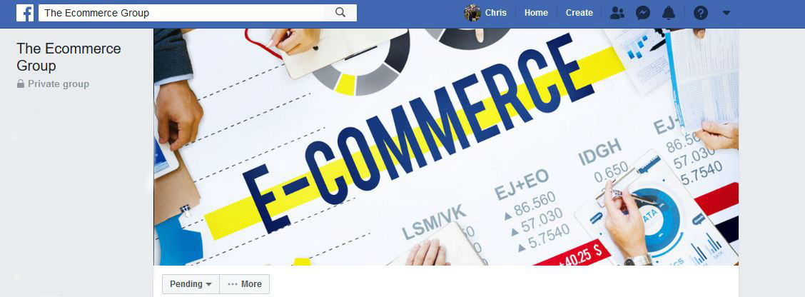 The Ecommerce Group