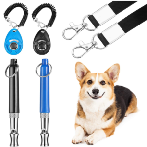 Dog leads